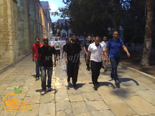 yaffa rebatt3 (8).jpg